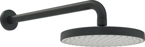 Schwarze Kopfbrause von HANSA mit rundem Sprühkopf und seitlichem Auslauf. Eingerichtet zur Wandmontage, schlichte und funktionale Bauweise.
